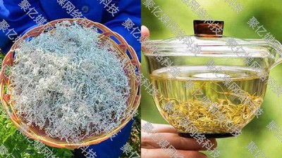 莓茶-vivo广告投放案例